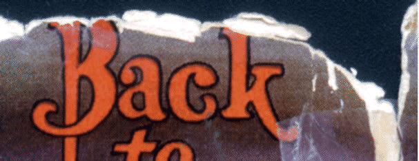 Type 1 heavy laminate close-up - Back to the Stone Age