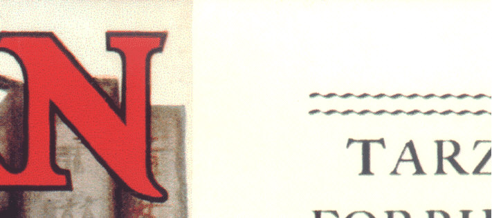 Tarzan and the Forbidden City - reproduction dust jacket