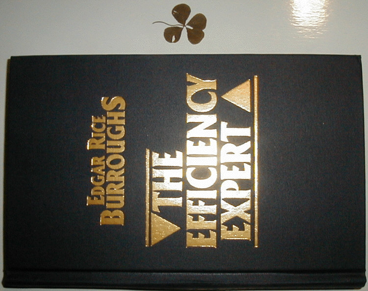 The Efficiency Expert cover