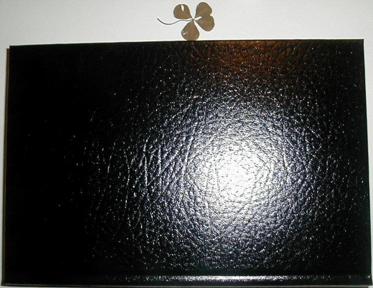 You Lucky Girl! cover